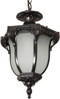 Chandelier Outdoor Aluminum Hanging Lantern, Waterproof Glass Chandelier, Corridor Courtyard Decoration Ceiling Aisle Villa Garden Pavilion Grapee Light/Black/31 * 50Cm