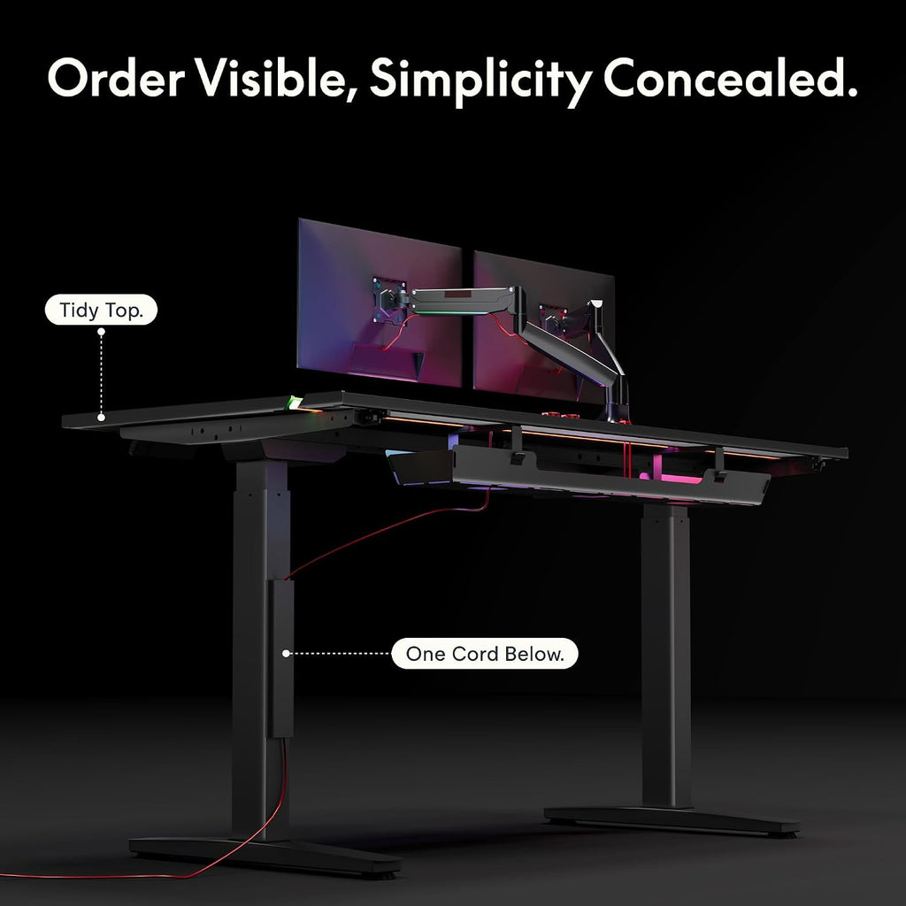 FLEXISPOT Electric RGB Gaming Standing Desk, 55' Dual Motor Height Adjustable Desk with Integrated Cable Management, Ergonomic Sit-Stand Computer Workstation for PC Gamers