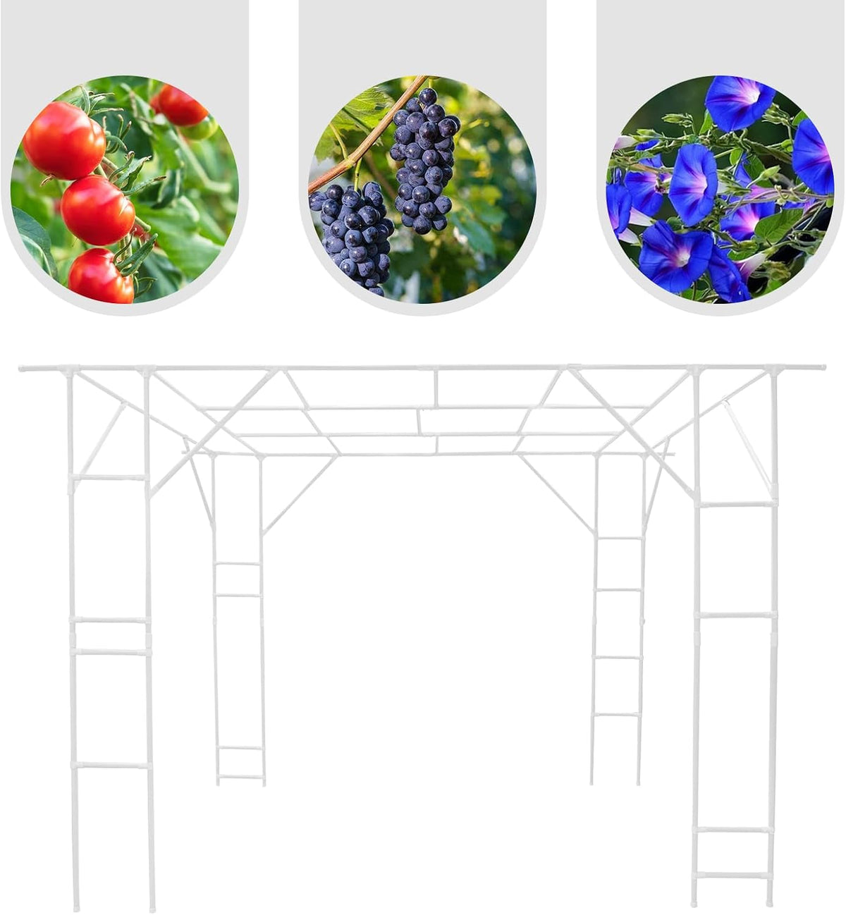 Plant Climbing Stand, 118'' L x 79'' W x 90.5'' H Grape Trellis, Large Garden Arch Trellis for Outdoor Climbing of Plants, Courtyard and Garden Decoration of Pavilions