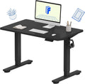 FLEXISPOT EN1 One-Piece Standing Desk, Electric Adjustable with 4 Memory Presets, 176 LBS Capacity, Stable & Quiet, Seamless Desktop for Home Office & Dual Monitors, 40'x24' Black