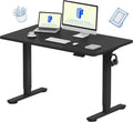 FLEXISPOT EN1 One-Piece Standing Desk, Electric Adjustable with 4 Memory Presets, 176 LBS Capacity, Stable & Quiet, Seamless Desktop for Home Office & Dual Monitors, 48'x24' Black