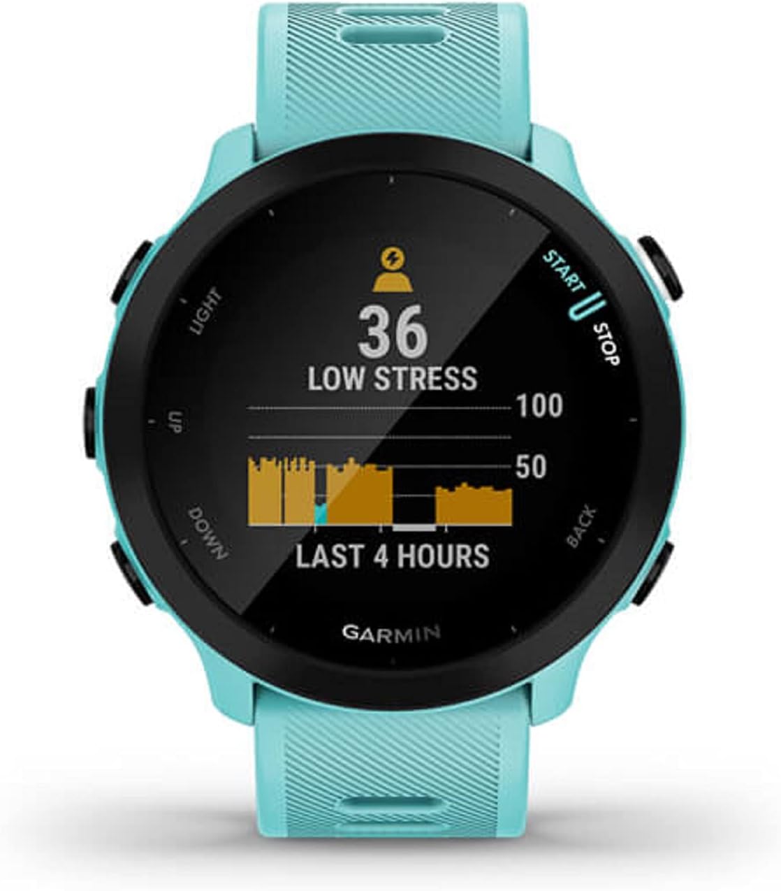 Garmin Forerunner 55, GPS Running Watch with Daily Suggested Workouts, Up to 2 Weeks of Battery Life, Aqua