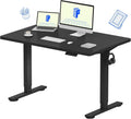 FLEXISPOT EN1 One-Piece Standing Desk, Electric Adjustable with 4 Memory Presets, 176 LBS Capacity, Stable & Quiet, Seamless Desktop for Home Office & Dual Monitors, 48'x30' Black
