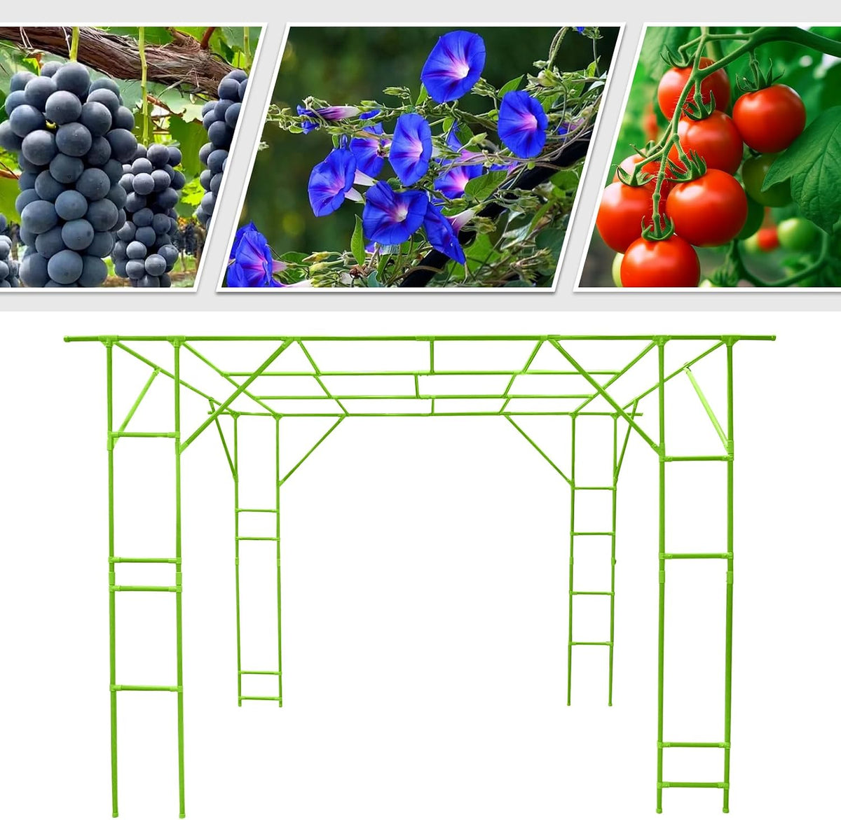 Bacocoo Plant Climbing Stand, Outdoor Plant Support Rack, Heavy Duty Steel & ABS with PE Coating for Vines, Flowers, Vegetables - Easy Install for Garden, Yard, Patio Decoration of Pavilions. (Green)