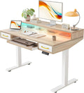 TIQLAB Standing Desk with Two Drawers, Stand Up Standing Desk Adjustable Height, Electric Sit Stand Table with Storage Shelf and Splice Board, with LED Light, 47 * 28 inch, Maple