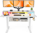 ErGear Electric Standing Desk, 55x28 Inch Adjustable Sit Stand Desk with Bookshelf & Monitor Stand, Standing Gaming Desk with LED Light Strip, Stand Up Desk for Home Office, White