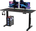 FLEXISPOT Electric RGB Gaming Standing Desk, 55' Dual Motor Height Adjustable Desk with Integrated Cable Management, Ergonomic Sit-Stand Computer Workstation for PC Gamers