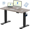 FLEXISPOT EN1 One-Piece Standing Desk, Electric Adjustable with 4 Memory Presets, 176 LBS Capacity, Stable & Quiet, Seamless Desktop for Home Office & Dual Monitors, 48'x24' Gray Wood