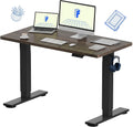 FLEXISPOT EN1 One-Piece Standing Desk, Electric Adjustable with 4 Memory Presets, 176 LBS Capacity, Stable & Quiet, Seamless Desktop for Home Office & Dual Monitors, 48'x24' Black Walnut