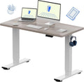 FLEXISPOT EN1 One-Piece Standing Desk with 1-Inch Thick Seamless Desktop, 48'x24' Electric Height Adjustable Desk for Home Office, Multi-Monitor Setups & Easy Assembly, Gray Wood
