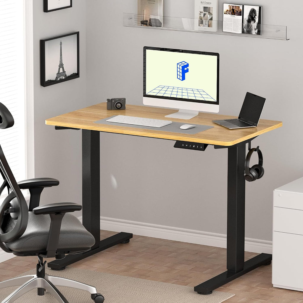 FLEXISPOT EN1 One-Piece Standing Desk, Electric Adjustable with 4 Memory Presets, 176 LBS Capacity, Stable & Quiet, Seamless Desktop for Home Office & Dual Monitors, 48'x24' Maple