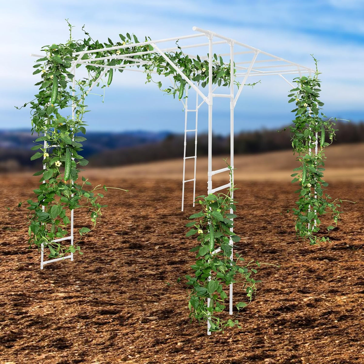Bacocoo Plant Climbing Stand, Outdoor Plant Support Rack, Heavy Duty Steel & ABS with PE Coating for Vines, Flowers, Vegetables - Easy Install for Garden, Yard, Patio Decoration of Pavilions. (White)