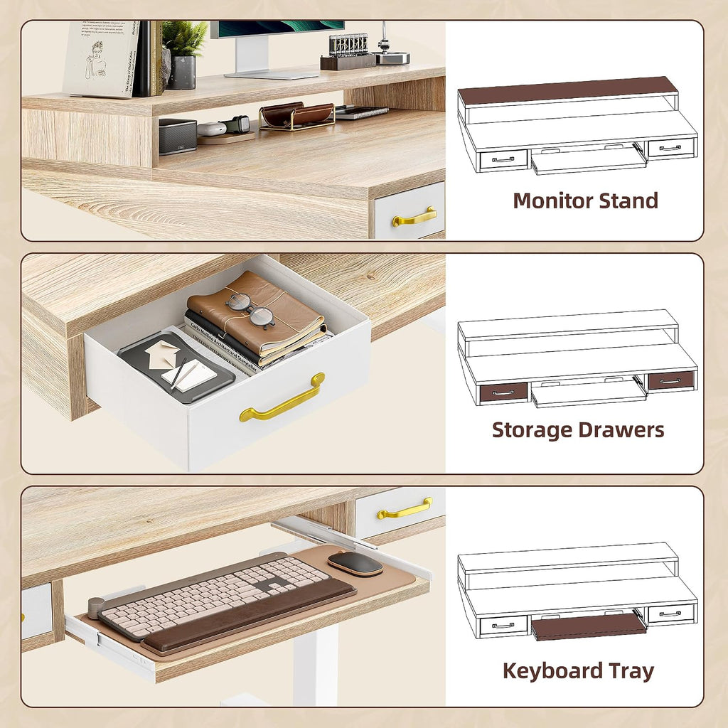 TIQLAB Standing Desk with Two Drawers, Stand Up Standing Desk Adjustable Height, Electric Sit Stand Table with Storage Shelf and Splice Board, with LED Light, 55 * 28 inch, Maple
