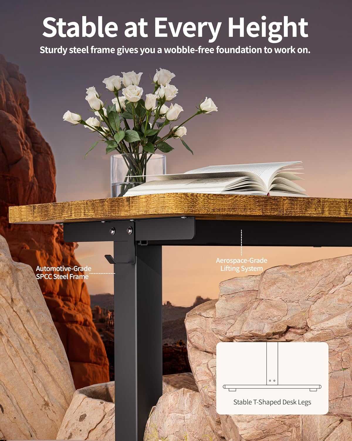BIZUM Standing Desk Electric Adjustable Computer Desk-Stand up Desk Office Gaming Home Office Memory Desks 48x24 inches Black Frame/Rustic Brown Top