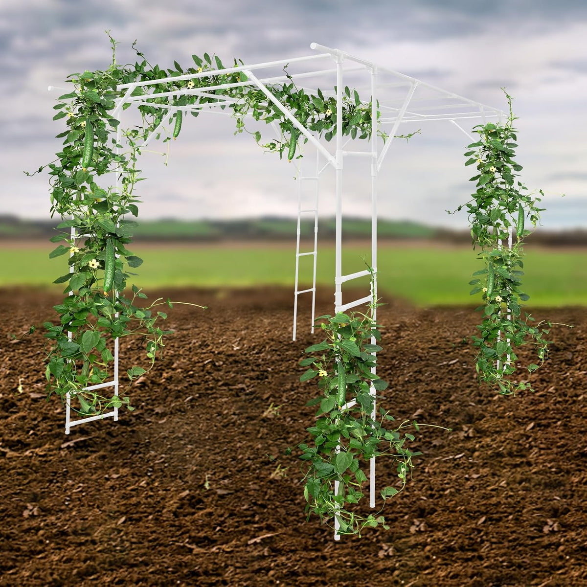 Bacocoo Plant Climbing Stand, Outdoor Plant Support Rack, Heavy Duty Steel & ABS with PE Coating for Vines, Flowers, Vegetables - Easy Install for Garden, Yard, Patio Decoration of Pavilions. (White)