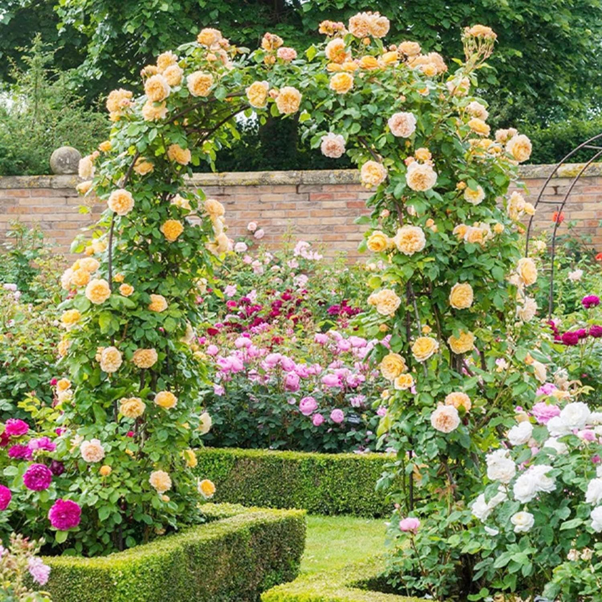 Garden Rose Arch, Pergola Garden Pavilion, Indoor and Outdoor Wedding Party Decoration, with A Pair of Rattan Boxes